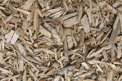 biomass boilers Holtspur